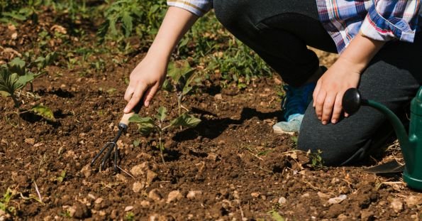 types of soil