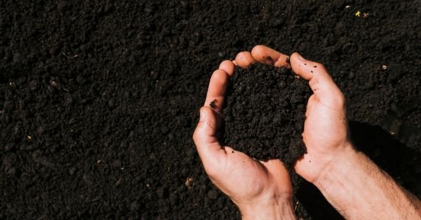 clay soil