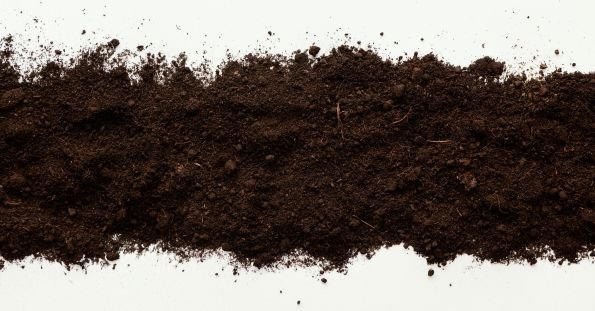loam soil