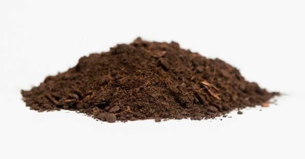 peat soil