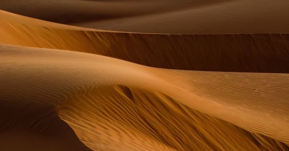sandy soil
