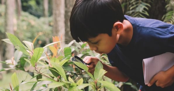 Outdoor Nature Exploration