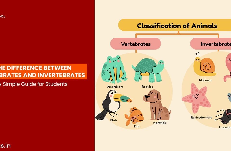 Illustrated chart showing the difference between vertebrates and invertebrates with labeled animal groups for students