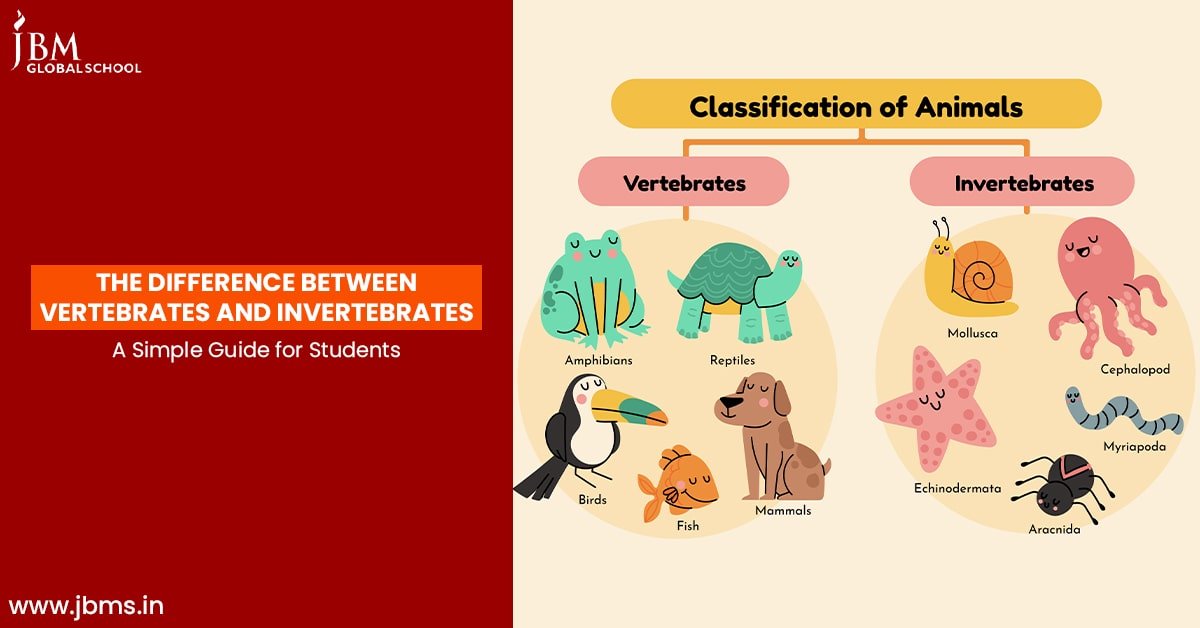 Illustrated chart showing the difference between vertebrates and invertebrates with labeled animal groups for students